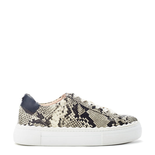 Brosa Grey Mix Snake Print Trainers