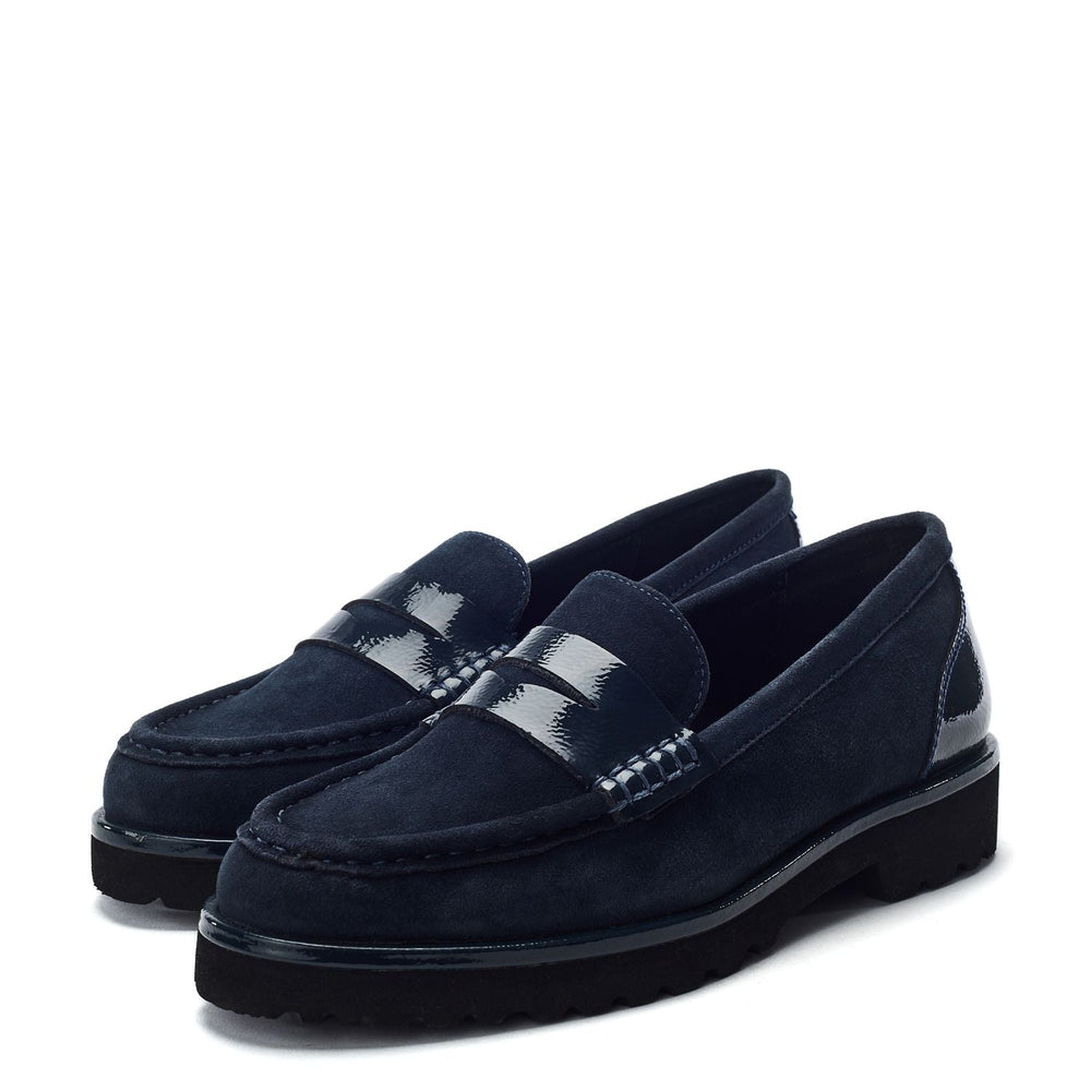 Ellaria Navy Suede Shoes