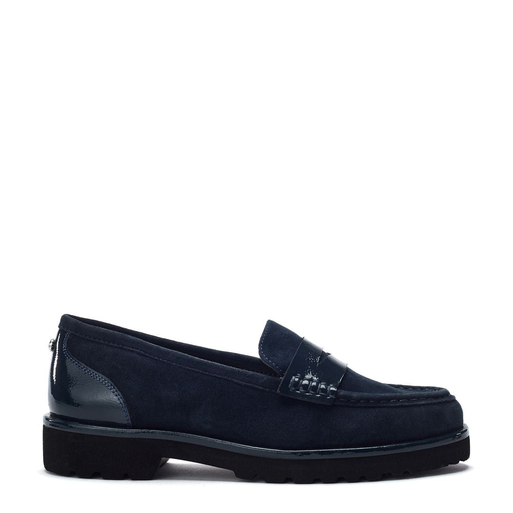 Ellaria Navy Suede Shoes