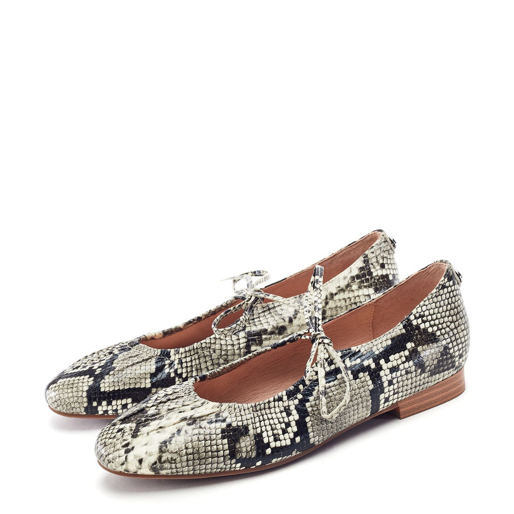 Faydra Grey Mix Snake Print Shoes