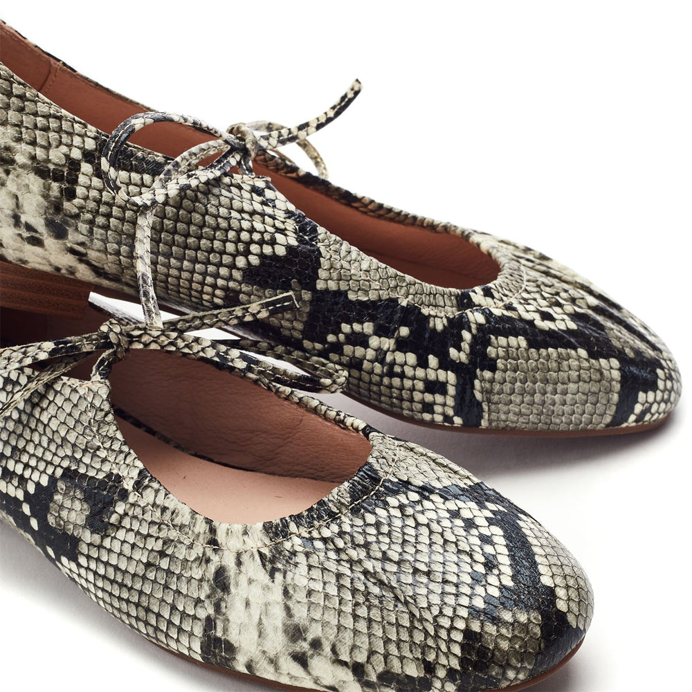 Faydra Grey Mix Snake Print Shoes