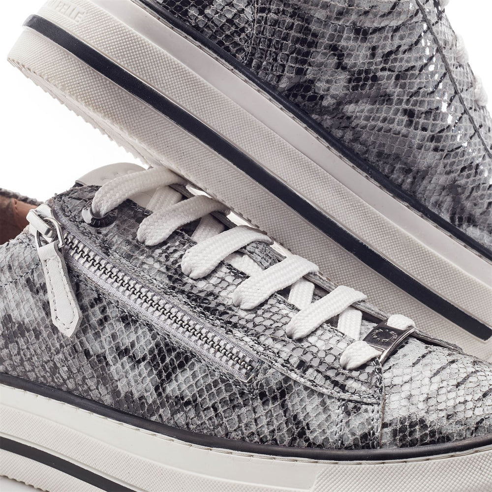 Flissie Grey Mix Snake Print Leather Trainers