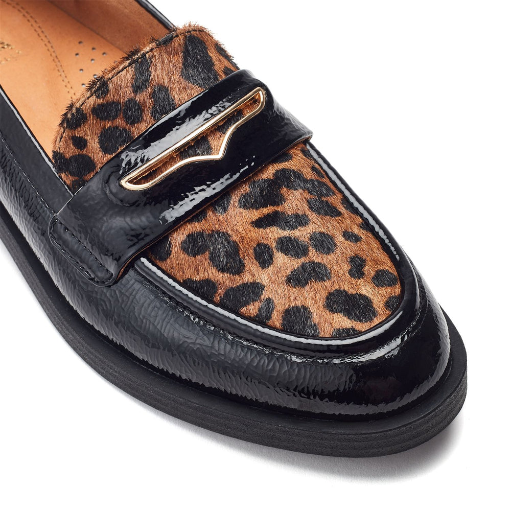Fumia Black - Leopard Patent Leather Shoes